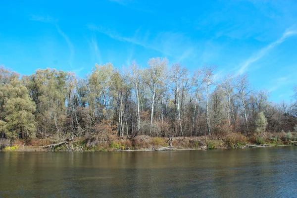 Τοπίο Φθινόπωρο Ποτάμι Δέντρα Και Θάμνοι Αντανακλώνται Στο Νερό Του — Φωτογραφία Αρχείου