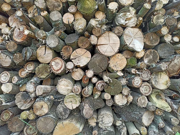 冬の準備薪の山 薪の背景 乾燥したみじん切りの木のログのヒープ 薪の山だ 冬のための薪の準備 家を暖めるために用意された木 — ストック写真