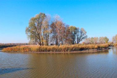 Sonbaharda göl manzaralı bir ada. Ağaçlar sonbahar manzarasının ortasında yetişir. Orman nehrinin su yüzeyi. Güzel sonbahar manzarası. Seyahat kavramı