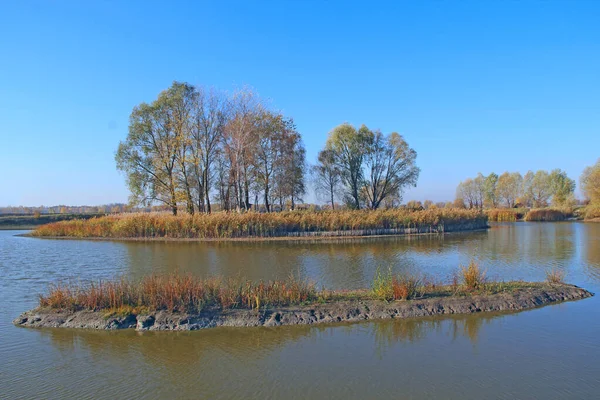 Krajobraz Wyspą Jeziorze Jesienią Drzewa Rosną Środku Rzeki Jesienny Krajobraz — Zdjęcie stockowe