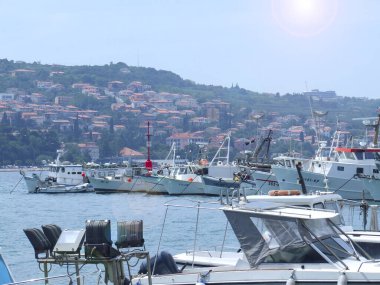 Demirli yat ve gemilerin yanında beyaz bir kuğu yüzüyor. Yatları olan bir körfezde güzel bir kuğu. Demir alan gemiler