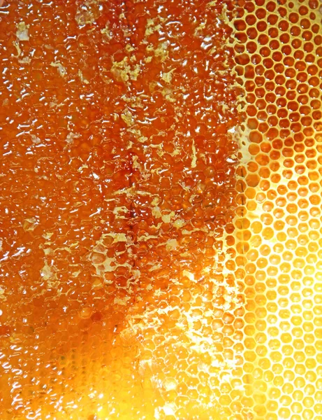 Bee honeycombs. Honeycomb texture. Close up view of the honey cells. honey production. natural honey from honeycomb. Natural pattern