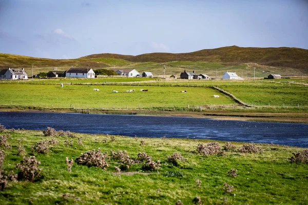 Schotland Shetlandeilanden Mooi Vergezicht Van Eiland — Stockfoto