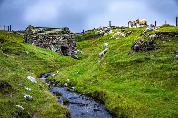 Skottland Shetlandsöarna Horiztontal Vattenkvarn — Stockfoto