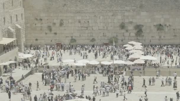 Muralha Ocidental Cidade Santa Templo Monte Judaico — Vídeo de Stock