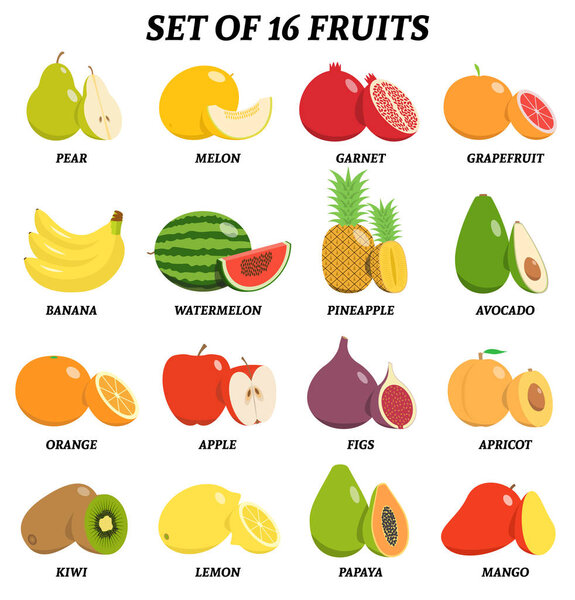 Vector illustration of set of fruits with signatures