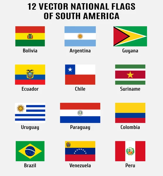 Coleção de vetores de 12 bandeiras nacionais da América do Sul —  Vetores de Stock