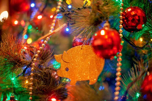Christmas Tree Golden Pig Toy — Stock Photo, Image