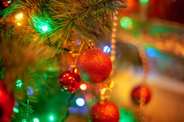 Christmas Tree Warm Light Interior — Stock Photo, Image