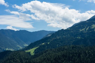 güzel dağ manzarası ile orman flims İsviçre