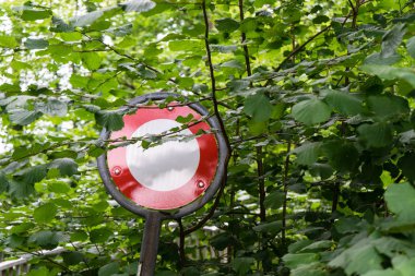 Dur işareti ormandaki ağaçların büyümüş geçemiyor ve yapraklar