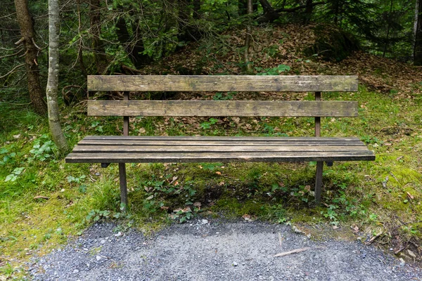 Panca Legno Nella Foresta Vicino Caumasee Svizzera — Foto Stock