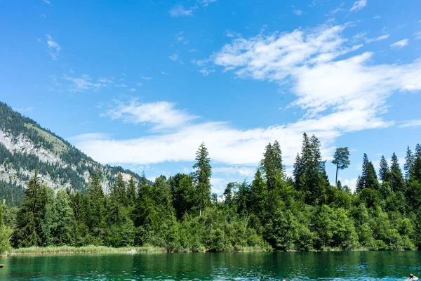 flims İsviçre dağ ve orman manzaralı crestasee
