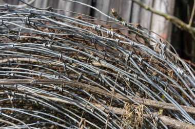 kazık veya eski paslı ve yeni dikenli tel rulo