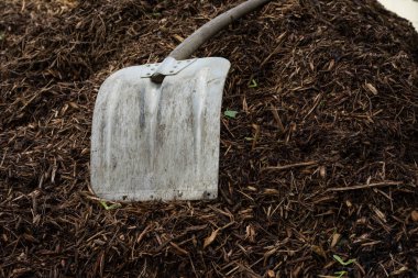 shovelor kürek Bahçe toprak, tarım ve tarım için aracı