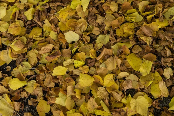 sarı yığını tam çerçeve arka plan dokusu bırakır