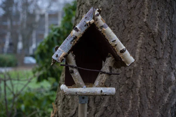 Birdhouse Invierno Por Noche Frente Árbol Ginkgo — Foto de Stock