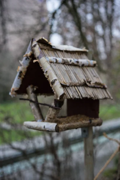 Birdhouse Winter Avond Voor Ginkgo Boom — Stockfoto