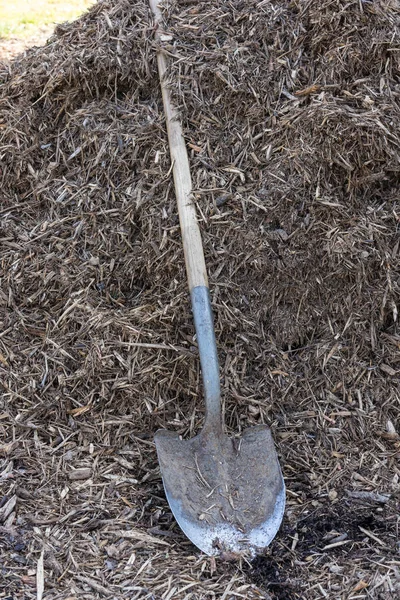 Pala Vanga Giardino Sfondo Terra — Foto Stock