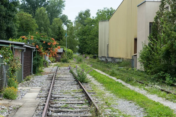 Faixa Trem Velho Área Indústria Abandonend Com Flores — Fotografia de Stock