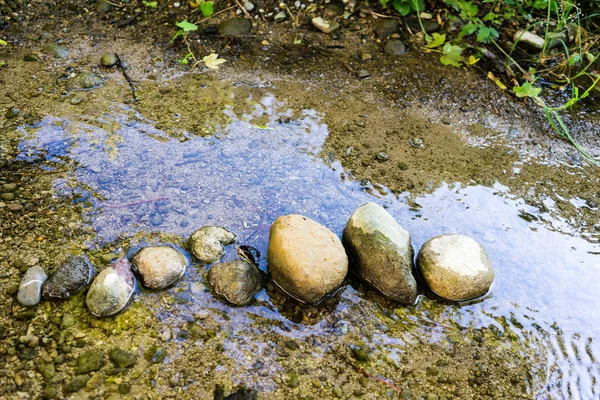 水の反射の小さなクリークに並んでいる石 — ストック写真