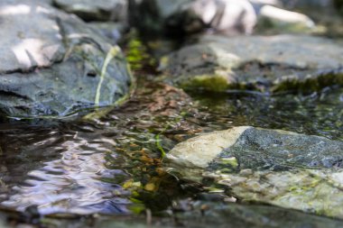 küçük dere büyük kayalar ile canlı görünümü kapatın