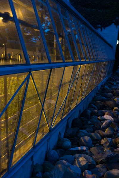 Green House Gardening Lights Night Plants — Stock Photo, Image