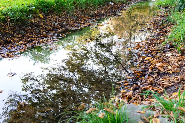 Reflexão Água Parque Outono Outono Outono Vista Natureza — Fotografia de Stock