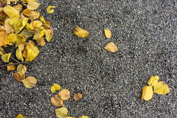 siyah çakıl taş zemin kavramı görünümü üzerinde sarı yapraklar
