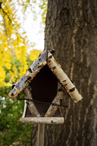Casa Pájaro Fuera Vista Frontal Madera Con Árbol —  Fotos de Stock
