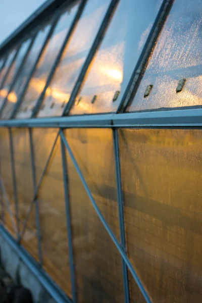 Greenhouse Evening Yellow Lights — Stock Photo, Image