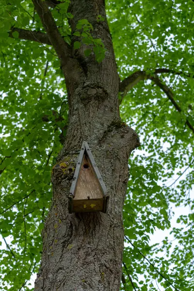 Houten Birdhouse Hangen Aan Een Boom Het Bos — Stockfoto