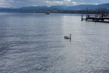 Lake zurich panorama görüş büyük tekne rıhtımda gelen ile