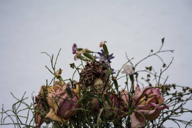 solmuş çiçek buketi ile Kuru güller