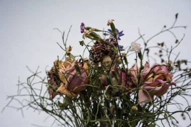 solmuş çiçek buketi ile Kuru güller