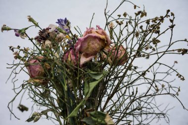 solmuş çiçek buketi ile Kuru güller