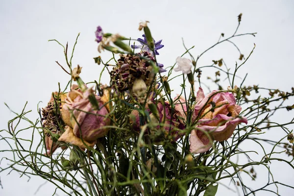 withered flower bouquet with dry roses