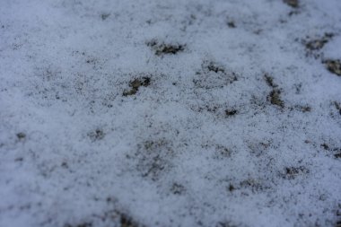 kar yere yakın görünümü