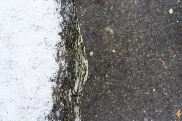 Neige et sol en béton vue rapprochée — Photo