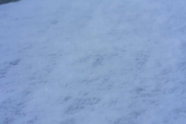 Śnieg na widok z góry szary dzień z bliska — Zdjęcie stockowe
