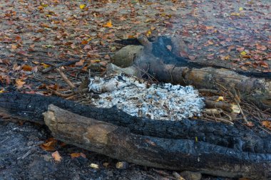 küçük yangın ve kül ile ormanda yürüyüş yangın yeri BBQ
