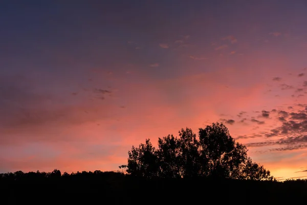 Solnedgång Med Röda Och Violetta Himmel Och Träd Horisont — Stockfoto