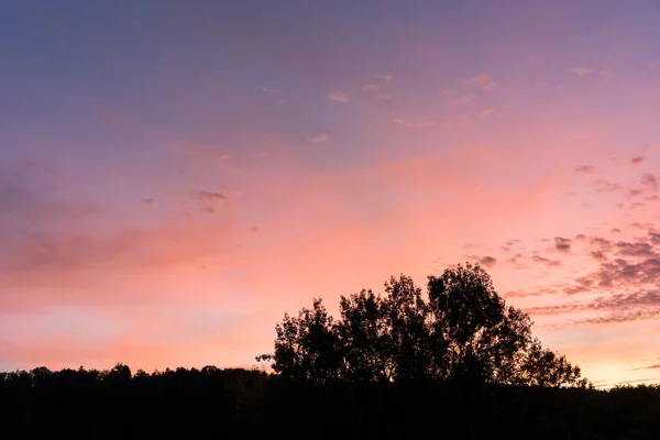 Solnedgång, röda och violetta himmel och träd — Stockfoto