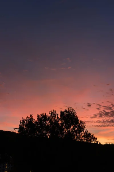 Solnedgång, röda och violetta himmel och träd — Stockfoto