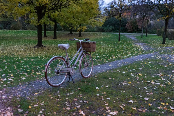 Порожній велосипед в парку, осінній сезон настрій картина на світанку — стокове фото