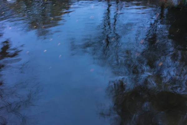 Reflexão da água, árvore espelhada na lagoa — Fotografia de Stock