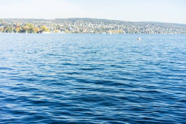 Zürih Gölü su görünümü ile dağlar ve arka gold coast