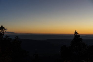 Turuncu Gökyüzü ve ağaç ile günbatımı sahne