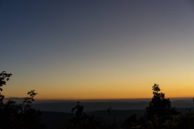 Turuncu Gökyüzü ve ağaç ile günbatımı sahne