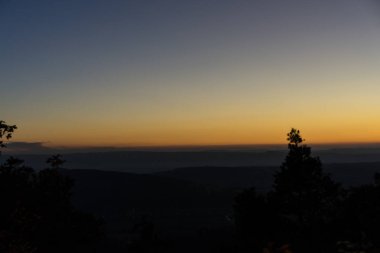 Turuncu Gökyüzü ve ağaç ile günbatımı sahne